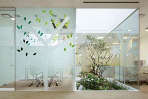 glass-wall-design
